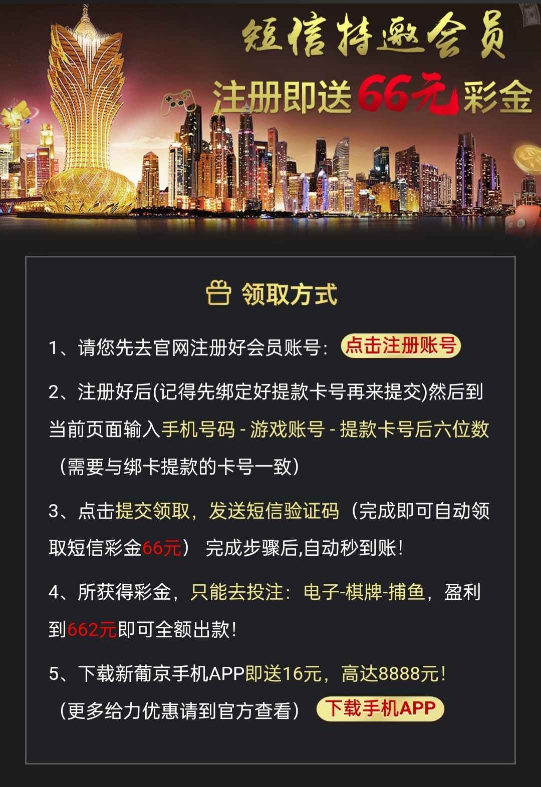 d1.jpg