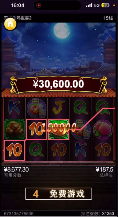 d1.jpg