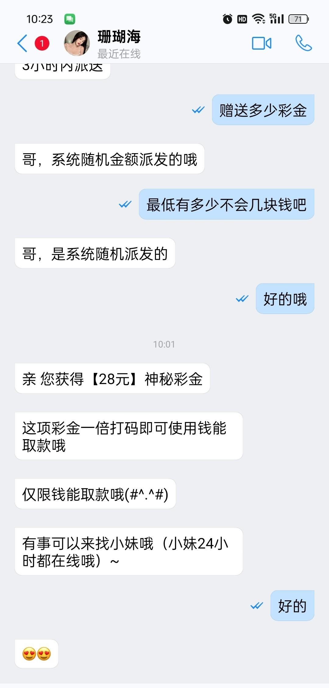 d1.jpg