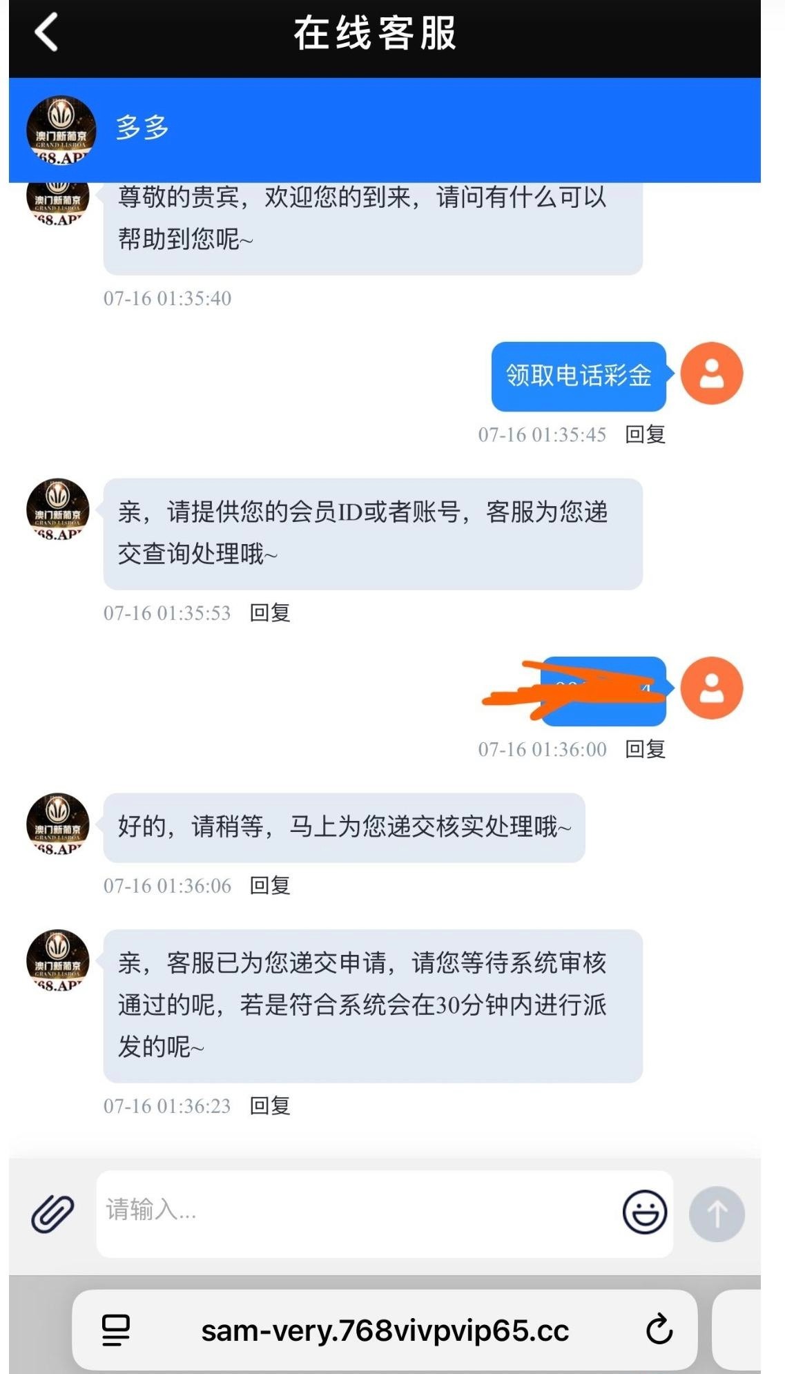 d1.jpg