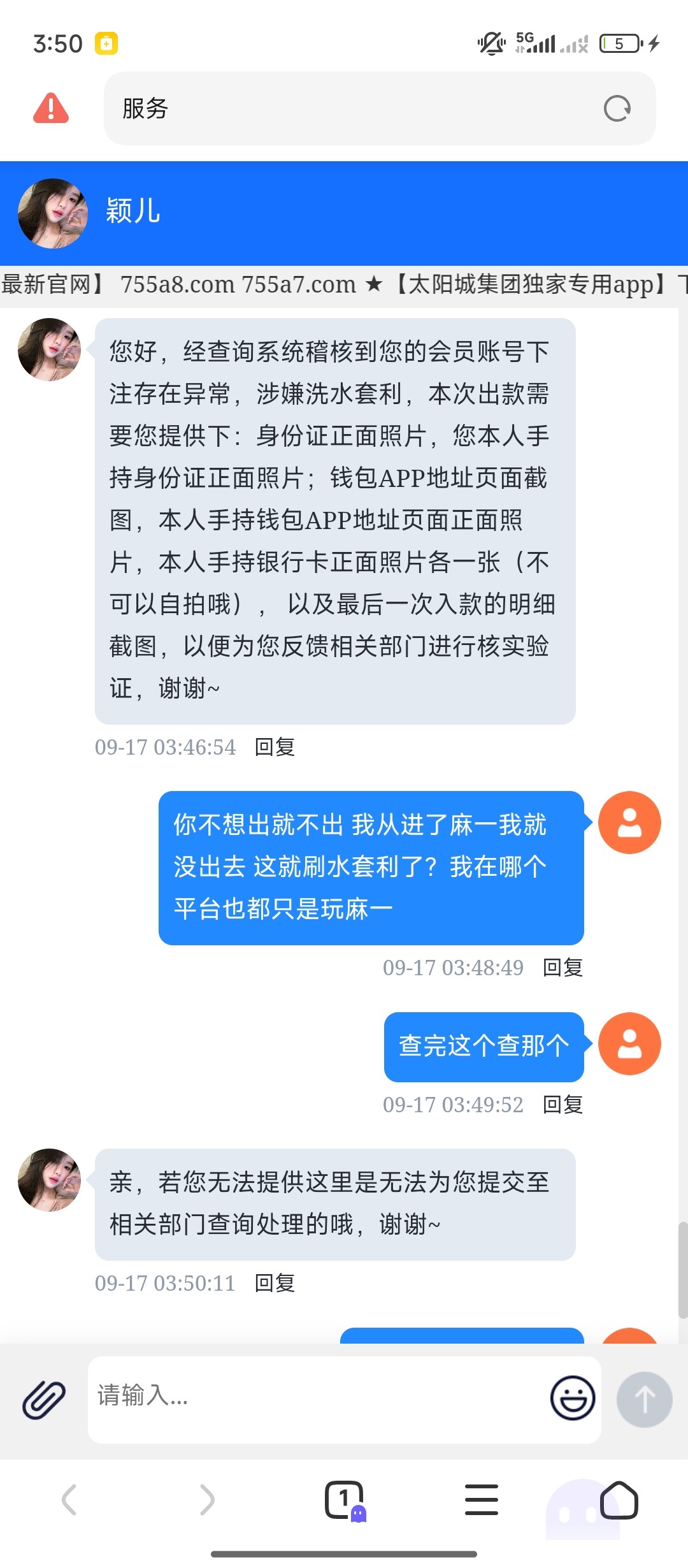 d1.jpg